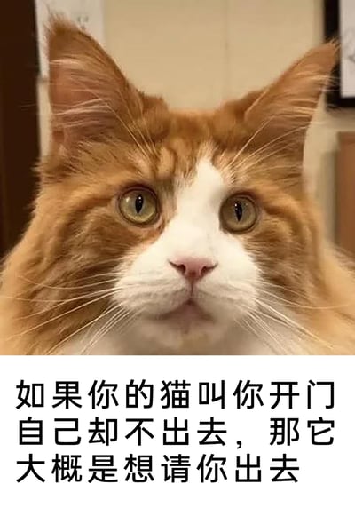 这是一张顶配底文式的趣味梗图，上方是一只橘白相间的长毛猫，它睁着圆溜溜的黄绿色眼睛，表情一本正经地抬头看向上方，毛发蓬松柔软；下方配文幽默地解读了养猫过程中的一个迷惑场景：当猫咪缠着主人开门，主人打开门后它却不出去，真实意图其实是想让主人出去。整幅图用轻松搞笑的方式戳中了养猫人的日常共鸣，生动展现了猫咪傲娇又搞怪的性格特点。