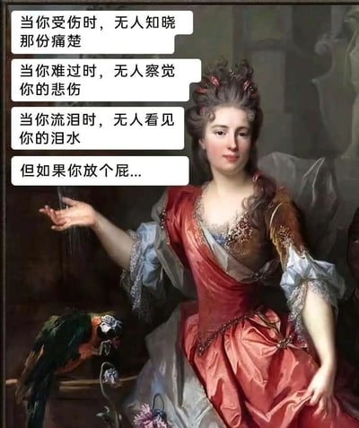 这是一张改编自古典油画的幽默梗图。画面主体是一位穿着华丽红色礼服的贵族女性，她姿态优雅地侧身而坐，身旁有一只色彩鲜艳的鹦鹉。图片左侧添加了四行文字对白，前三行描述了不被人察觉的伤痛与悲伤："当你受伤时，无人知晓那份痛楚"、"当你难过时，无人察觉你的悲伤"、"当你流泪时，无人看见你的泪水"，最后一句突然转折："但如果你放个屁..."，形成强烈的反差幽默效果。