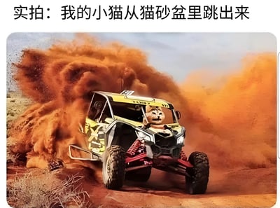 这是一张幽默搞笑的P图，将小猫的头部嫁接到拉力赛车驾驶员身上，背景是赛车在沙漠中飞驰扬起巨大沙尘的场景。图片上方配有文字"实拍：我的小猫从猫砂盆里跳出来"，通过夸张的手法幽默地表现了小猫从猫砂盆跳出时带出大量猫砂的场景，形成强烈的喜剧效果。