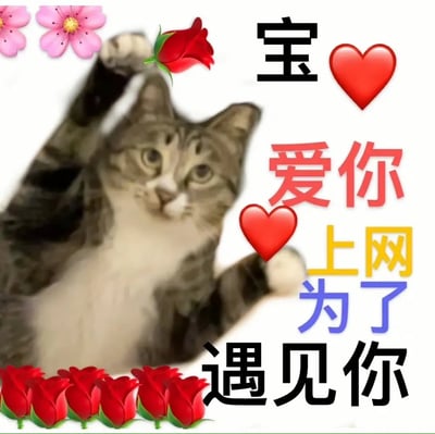 这是一张非常流行的中文网络表情包，主角是一只可爱的猫，举起爪子，周围装饰有鲜花和玫瑰，结合了多种花体与彩色字体大字，传递出强烈的爱意和夸张的网络氛围。图片中文字“宝❤️爱你❤️上网为了遇见你”表达了网络情缘和甜蜜示爱，整体风格俏皮、热情。没有明显的谐音梗，主要是甜蜜告白和“土味情话”氛围，适合用于网络聊天、表白、朋友互送增进友谊。