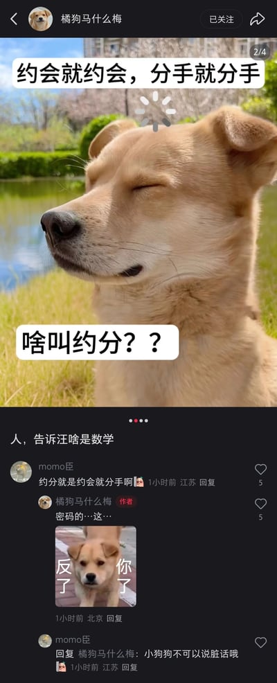 这是抖音用户“橘狗马什么梅”发布的搞笑宠物内容，利用谐音梗制造趣味：将数学概念“约分”谐音成“约会就分手”。图中的浅棕色小狗闭眼皱眉，一脸疑惑，配文“约会就约会，分手就分手”“啥叫约分？？”，拟人化地模拟小狗不懂数学概念的可爱状态。评论区里用户“momo臣”玩梗回复“约分就是约会就分手啊”，作者用小狗表情包回复“密码的…这…”，用户又调侃“小狗狗不可以说脏话哦”，整个内容通过宠物拟人化和谐音梗结合，充满轻松搞笑的氛围。