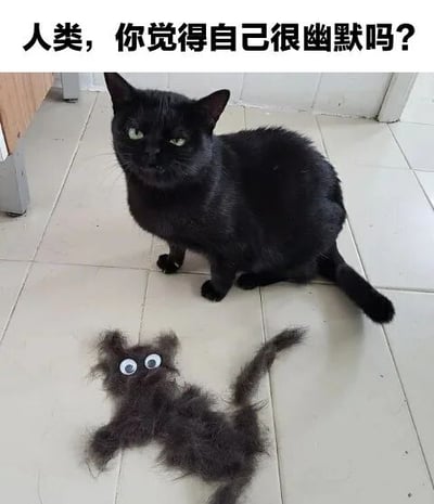 图片中一只黑猫正坐在白色瓷砖地面上，表情略带不满地注视着前方。前方地面上有用黑猫脱落的毛发精心摆成的一个小型猫咪造型，还被贴上了圆圆的活动眼睛，显得十分滑稽。图片顶部配有文字“人类，你觉得自己很幽默吗？”，仿佛是黑猫在对铲屎官这种“恶作剧”发出灵魂质问，整体营造出一种搞笑又温馨的宠物日常氛围。