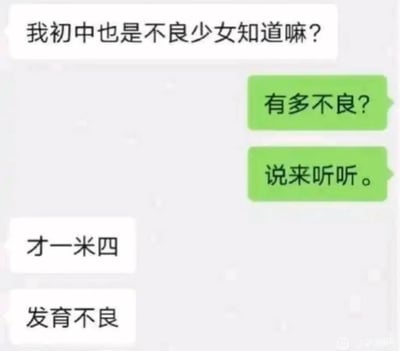 这是一张国内社交软件的聊天记录截图，对话中发起方先称自己初中也是不良少女，引发回应方的好奇追问，随后发起方抖出包袱，回答说当时才一米四，是发育不良，利用“不良”一词的双关含义，制造出了反差搞笑的冷笑话效果，整体为白底气泡的聊天界面样式，符合常见的即时通讯软件界面特征。