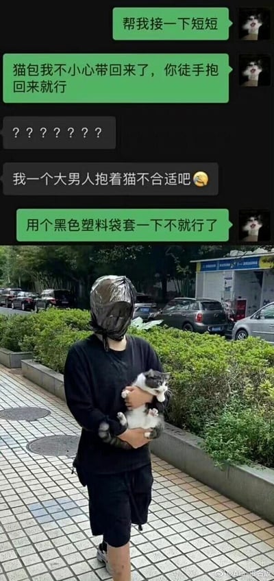 这是一则图文结合的搞笑内容，上半部分是微信聊天记录界面，绿色气泡的猫主人拜托对方帮忙接名为“短短”的猫咪，告知对方自己不小心把猫包带回来了，让对方徒手将猫抱回来；对方先是发出一串问号表示疑惑，随后称自己一个大男人抱着猫不合适，猫主人提议用黑色塑料袋套一下就行。下半部分是实拍场景，一名男子严格按照字面意思执行，将黑色塑料袋套在了自己头上，双手抱着一只灰白相间的猫咪，行走在铺有方格地砖的人行道上，身旁是绿化带和停放的车辆，画面因对提议的误会产生强烈反差感，充满荒诞又好笑的效果。