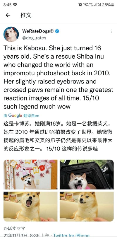 暂无描述