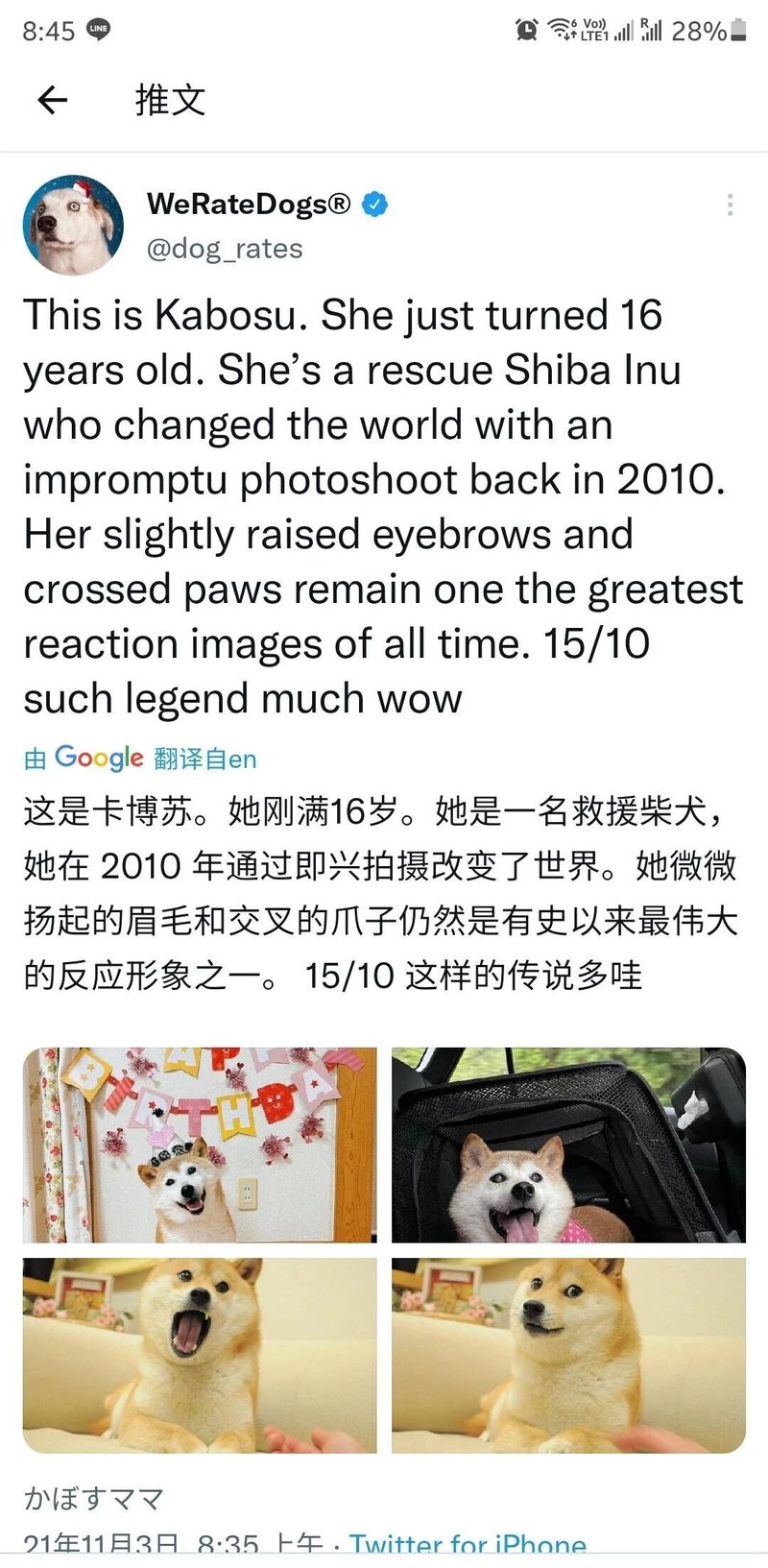 Doge表情包