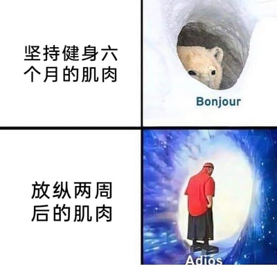 这是一张采用2×2布局的对比类梗图，通过两组图文结合的内容，幽默夸张地展现健身成果的脆弱性：左上配文“坚持健身六个月的肌肉”，对应右侧图是从洞穴里探出头的动物，下方标注法语“Bonjour（你好）”，用来比喻辛苦锻炼后呈现出的饱满、有活力的肌肉状态；左下配文“放纵两周后的肌肉”，对应右侧图是一个落寞背身站在发光通道中的人物，下方标注西班牙语“Adios（再见）”，以此调侃停止健身、放纵饮食作息后，肌肉快速流失的无奈现实，精准戳中健身人群的共鸣点。