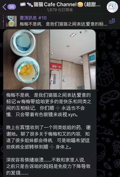 这是名为「猫猫Cafe Channel」（带有跨性别旗帜标识，拥有1879位订阅者）的社群频道置顶消息#10，属于图文混排内容：左侧是两个装有药品的罐子，右侧是医院「感染一科」的科室门口照片。
发帖人使用谐音梗，将梅毒称为「梅梅」，将其美化成「猫猫之间表达爱意的标记」，指责顺性别群体（被其恶意称为「顺÷」）歧视LGBTQ群体；还提到在宾馆收到同类的药物，和对方交流了梅毒（梅梅）与艾滋病（艾）的相关内容，并恶意诅咒这些疾病转移到「顺÷」身上；同时透露自己深夜情绪崩溃，不敢告知家人真实病情，只谎称是免疫力下降引发的发烧。
谐音梗说明：「梅梅」指代梅毒，「艾」指代艾滋病，「顺÷」是对顺性别群体的恶意侮辱性称呼。