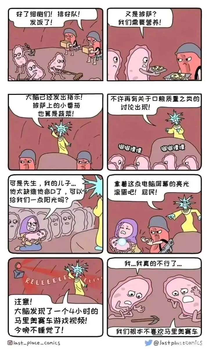 代表大脑发号施令，是细胞群体的上层支配者