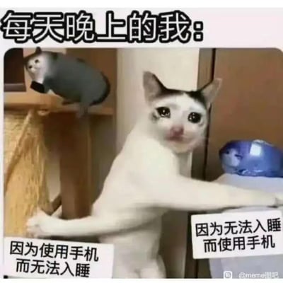 这张梗图展示了一只表情无奈的猫，上方文字写着"每天晚上的我："，下方左右两侧分别配有文字"因为使用手机而无法入睡"和"因为无法入睡而使用手机"。图片幽默地描绘了现代人常见的睡前困境：手机使用与失眠之间的恶性循环。猫的拟人化表情增强了喜剧效果，反映了许多人每晚都经历的矛盾心理。