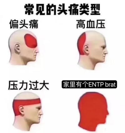 图片以四格图文混排形式展示“常见的头痛类型”，上方左右分别为“偏头痛”（头部左侧额头红色高亮）和“高血压”（头部右侧后部红色高亮），下方左右分别为“压力过大”（头部前部横向红色高亮）和“家里有个ENTP brat”（整个头部全红色高亮）。通过医学示意图风格与MBTI人格梗结合，用夸张对比制造幽默效果，暗示ENTP性格的“小 Brat”（调皮捣蛋）特质会让人头痛欲裂。