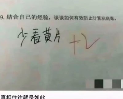 一张关于计算机病毒防护的搞笑梗图。题目是'结合自己的经验，谈谈如何有效防止计算机病毒'，手写回答是'少看黄片'并获得+2分，底部配文'真相往往就是如此'。通过幽默方式暗示不良网站是病毒来源。