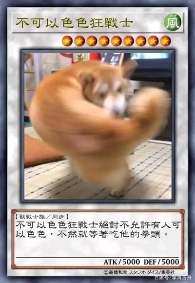 这是一张模仿《游戏王》卡牌样式制作的搞笑二次创作图，卡牌顶部标注名称为“不可以色色狂战士”，属性为“风”，拥有9颗星级标识。卡图主体是一只做出挥拳动作的模糊柴犬，呈现出愤怒制止的姿态。卡牌下方标注种族为“兽战士族/同步”，效果描述为“不可以色色狂战士绝对不允许有人可以色色，不然就等着吃他的拳头。”，攻击力（ATK）和防御力（DEF）均设置为5000，底部带有《游戏王》的官方版权标识，右下角还有“百家号/学海苦舟”的水印。这张图结合了网络流行语“不可以色色”和柴犬的搞笑动作，以游戏王卡牌的形式呈现，用来调侃或严肃制止低俗擦边的行为，风格诙谐幽默，充满趣味性。