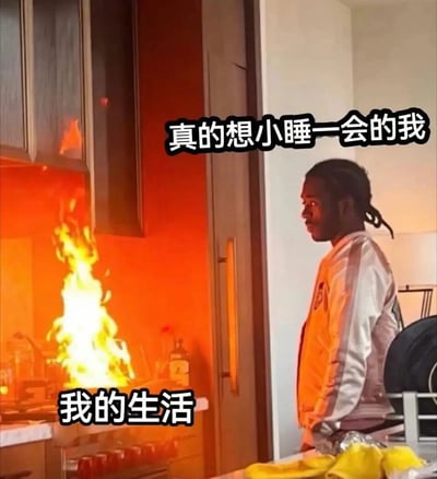 这是一张引发当代人共鸣的搞笑梗图，画面里的厨房燃起熊熊大火，以此来具象化表现混乱不堪、压力重重的生活状态；一旁的黑人男性双手置于身后，神情麻木、无动于衷地看着火情，配文“真的想小睡一会的我”与“我的生活”形成强烈反差，精准刻画了当生活陷入一团糟时，个人只想摆烂休息、暂时逃避现实的疲惫心态，戳中了许多人在面对生活压力时的无力感。