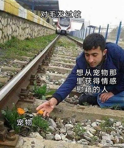 这是一张文字加注的真人梗图，画面里一名男子蹲在铁轨旁，伸手去触碰铁轨缝隙里长出的橙色小花，远处有火车正朝着他的方向驶来。图中的文字分别为顶部的“对毛发过敏”、右侧的“想从宠物那里获得情感慰藉的人”，以及标注在小花上的“宠物”，用夸张又心酸的方式，表现这类人群的无奈——因为对毛发过敏无法饲养带毛宠物，只能将植物当作“宠物”来寄托情感，远处驶来的火车也烘托出一种绝望又自嘲的氛围。