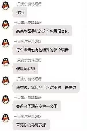聊天记录截图显示，用户‘一只奥尔良烤翅呀’连续发送多条消息抱怨高德地图语音导航问题。内容包括吐槽‘高德地图导航的这个狗屎语音包’，提到‘傻通阿罗娜’语音包存在‘说右边，然后马上不对不对，是左边’的错误指引，导致‘现在多绕一公里’，并以‘草死你的阿马罗娜’表达强烈不满。