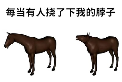这张梗图通过左右对比展示了当有人挠马脖子时的有趣反应。左侧是一匹姿态正常的棕色马，平静地站立着；右侧则是同一匹马，但脖子以不自然的角度扭曲回头，嘴巴张开，生动地表现出动物在享受颈部挠痒时的夸张反应。图片上方配有文字"每当有人挠了下我的脖子"，幽默地将动物反应拟人化，引发观者共鸣。