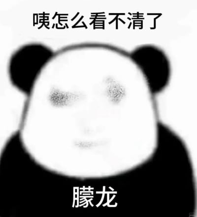 这是一张基于经典熊猫头表情包改编的静态黑白卡通表情包，画面中的熊猫头面部整体模糊，眼睛区域带有噪点效果，仿佛视线受阻看不清东西。图中顶部配有文字“咦怎么看不清了”，底部配有谐音文字“矇龙”（谐音“朦胧”），通过视觉上的模糊效果与文字谐音梗的结合，生动地表现出视线朦胧、看不清楚的状态，常用于聊天时表达自己看不清内容、视力不佳，或是调侃他人眼神不好的场景。