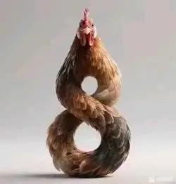 这是一张AI生成的创意合成图像，将家鸡的身体扭曲变形为阿拉伯数字8的形状，鸡的头部位于数字8的顶端，保留了鸡的原本头部形态，整体造型怪异又充满创意，视觉冲击力较强。图像没有包含双关、谐音梗等内容，是通过AI工具创造出的新奇视觉效果。