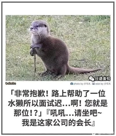 暂无描述