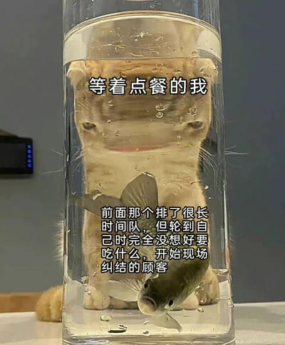 这是一张搞笑的合成视觉错位图，创作者将橘猫放置在透明水杯后方，水杯内搭配一条游动的鱼，再配上吐槽文字，以此类比日常点餐排队时的无奈场景。上方文字“等着点餐的我”对应橘猫的视角，生动表现出等待者的急切；下方文字则描述了前面排了很久队，轮到自己却完全没想好要吃什么、开始现场纠结的顾客，用动物场景巧妙映射生活中的小烦恼，精准引发大众对这类日常经历的共鸣，充满趣味性和吐槽感。