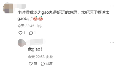 这是一张竖屏手机格式的社交媒体评论区截图，属于单图静态屏幕截图。截图中展示了两条用户评论：第一条评论由打码头像的用户发布，内容是分享自己童年的尴尬趣事，小时候误解“睾丸”的含义，将“太好玩了”错误表述为“太gao玩了”，并搭配两个脸红的表情，体现出事后的尴尬；第二条评论是另一位打码头像的用户回复“我giao！”，以此表达对这件事的震惊与尴尬情绪。整体界面是典型的国内社交平台评论样式，用户头像做了马赛克处理，构图清晰，重点突出评论内容。