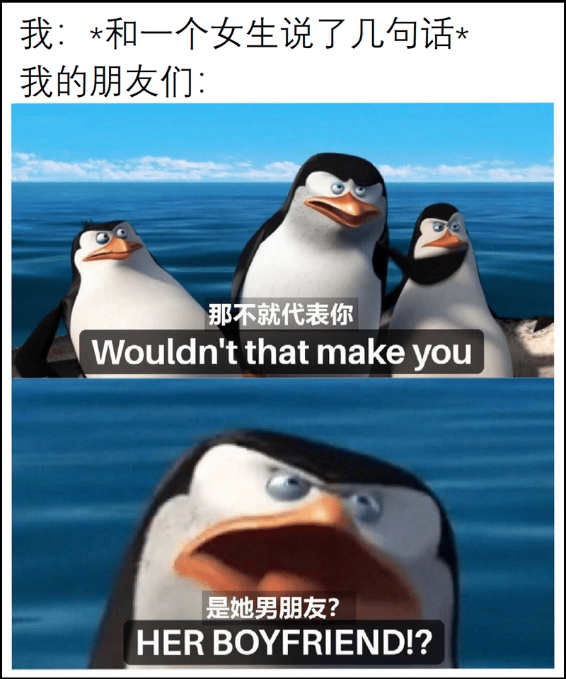 马达加斯加企鹅