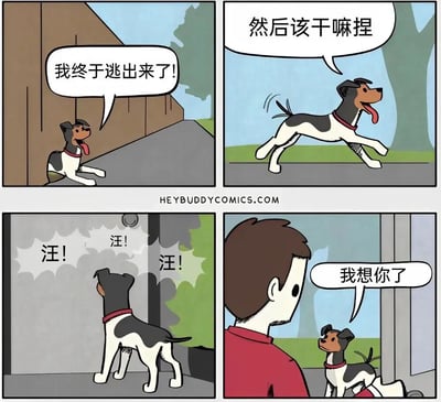 这是一幅四格漫画，讲述了一只戴着红项圈的小狗成功逃出围栏后的有趣经历。第一格中小狗兴奋地宣布"我终于逃出来了!"；第二格它奔跑着疑惑"然后该干嘛捏"；第三格小狗对着一扇门不停地吠叫；第四格小狗回到主人身边，主人温柔地说"我想你了"。整个漫画展现了宠物对主人的依赖和深厚感情，充满温馨可爱的氛围。