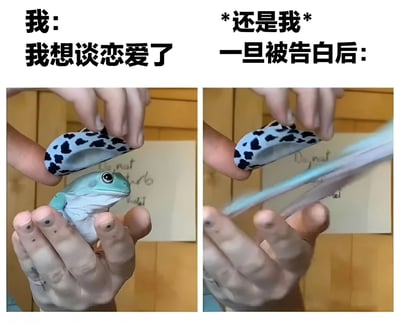 这是一张左右对比的梗图，通过青蛙的反应幽默地表现了人们在恋爱态度上的矛盾心理。左边图中，一只蓝青蛙好奇地抬头看着被人拿着的斑点物体，配文“我: 我想谈恋爱了”；右边图中，同一只青蛙面对被快速抽走的物体，配文“*还是我* 一旦被告白后:”。这种对比生动地展现了渴望恋爱与面对表白时的退缩之间的有趣反差。