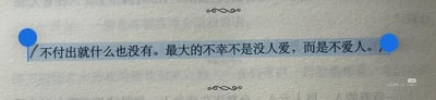 这是一张静态纯文字图，背景为浅灰色，中间的核心文字被蓝色框标注出来，内容为“不付出就什么也没有。最大的不幸不是没人爱，而是不爱人。”，传递出要主动付出、主动去爱的正向人生感悟，没有双关、谐音梗等特殊表达。