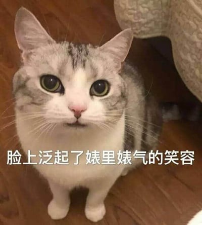 图片中是一只灰白相间的猫咪，它有着大大的绿色眼睛和粉色的鼻子，正坐在木地板上抬头看向前方。猫咪的表情看起来略带俏皮，配合图片底部的文字“脸上泛起了姨里姨气的笑容”，形成了一种幽默有趣的效果。整体画面清晰，猫咪的神态生动可爱。