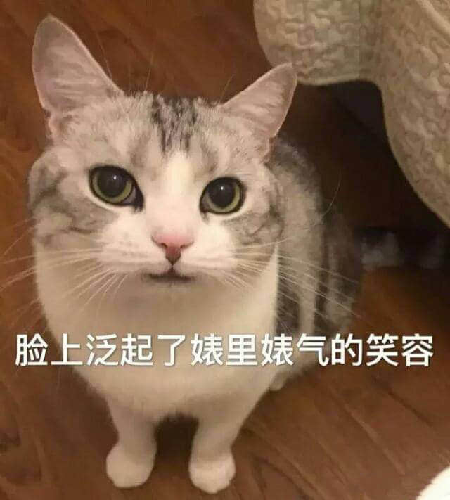 猫咪露出姨里姨气的笑容