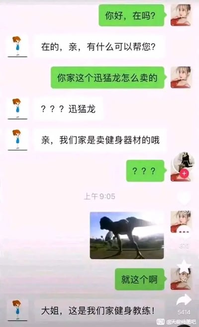 这是一段顾客与健身器材店客服的搞笑聊天记录截图。顾客首先向客服询问店内“迅猛龙”的售价，客服表示店铺主营健身器材，对顾客的问题感到疑惑；随后顾客发送了一张照片，指出照片中的就是自己询问的“迅猛龙”，客服哭笑不得地告知顾客，照片里的是店铺的健身教练，该教练的姿势从视觉效果上看与迅猛龙高度相似，因此造成了顾客的误解，整个对话过程充满了趣味性和反差感。