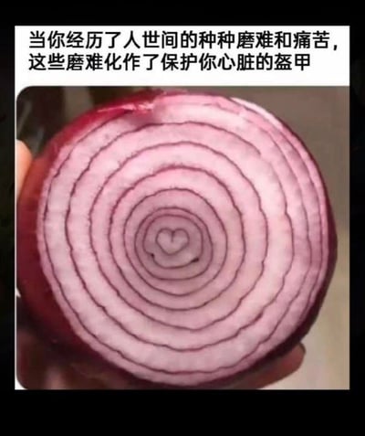 这是一张图文结合的情感类梗图，上方配有文字：“当你经历了人世间的种种磨难和痛苦，这些磨难化作了保护你心脏的盔甲”，下方是一张切开的紫洋葱实拍图，洋葱的中心自然形成了类似心形的纹路，外层一圈圈的洋葱圈如同层层铠甲。这张图用洋葱的结构来隐喻人们在经历生活的挫折与痛苦后，会逐渐建立起坚硬的心理防线，以此保护自己内心深处柔软的部分，引发人们对人生经历与自我保护的情感共鸣，没有双关、谐音梗等内容。