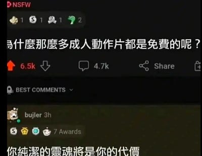这张图片是Reddit风格的中文搞笑梗图，上面问：“为什么那么多成人动作片都是免费的吗？”下方高赞评论神回复：“你纯洁的灵魂将是你的代价。”整图有点暗讽、戏谑意味，通过反常理提问+哲学式玩笑回答，表达了对网络免费内容背后“无形代价”的调侃。暗示了“免费”其实有隐性代价，比如精神、时间上的消耗。图中无谐音或双关，但有黑色幽默和反差感。