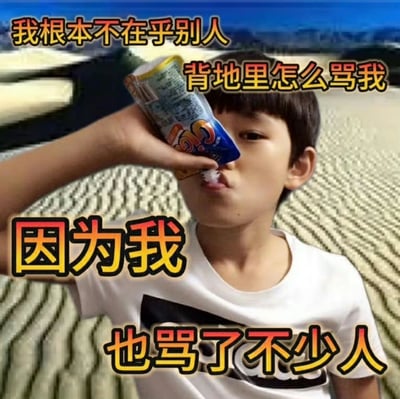这是一张由网友二次创作的表情包，底图为艺人王源的童年生活照，图中童年王源正举着吸吸冻吸食，神态放松、一脸无所谓。图片上添加了醒目的文字：“我根本不在乎别人背地里怎么骂我 因为我也骂了不少人”，以一种幽默、摆烂的自我调侃语气，传递出不在意他人负面评价、接纳自己同样有“吐槽他人”行为的心态，适合在聊天中用来回应无端指责，或是表达自己不被闲言碎语影响的心情。