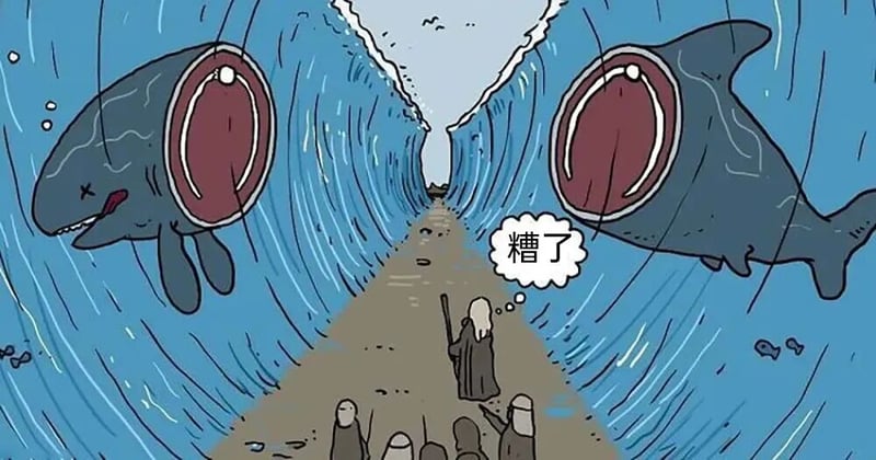 鲨鱼