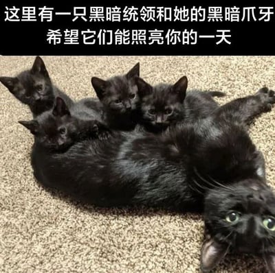 图片中一只黑色母猫躺在米色地毯上，身体舒展，周围依偎着几只同样是黑色的小猫。上方配有文字“这里有一只黑暗统领和她的黑暗爪牙 希望它们能照亮你的一天”。通过将纯黑的猫咪戏称为“黑暗统领”和“黑暗爪牙”，与“照亮你的一天”形成反差萌，利用黑色与光明的语义对比制造幽默效果，展现了猫咪的可爱与温馨。