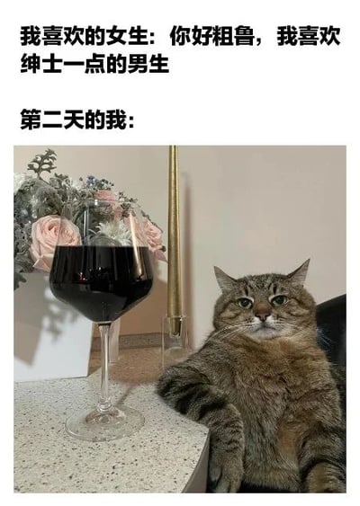 图片上方有两行文字，第一行是“我喜欢的女生：你好粗鲁，我喜欢绅士一点的男生”，第二行是“第二天的我：”。下方配图是一只虎斑猫趴在台面上，前爪搭在桌边，旁边放着一杯红酒和插有粉色玫瑰的花瓶，猫咪表情严肃，姿态模仿绅士，通过拟人化手法形成幽默对比，展现为迎合对方喜好而刻意改变的滑稽场景。