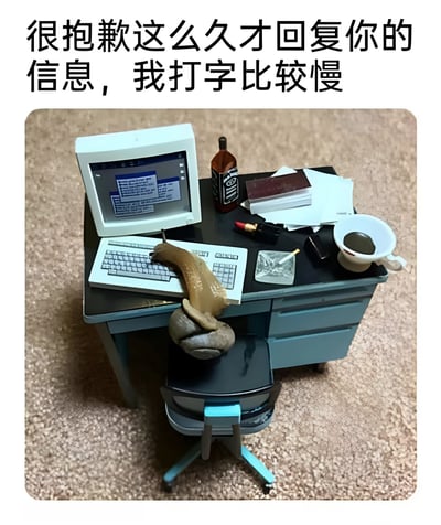 图片上方有文字“很抱歉这么久才回复你的信息，我打字比较慢”，下方是一个微缩场景：一只蜗牛正用触角在老式电脑键盘上缓慢打字，周围是杂乱的书桌，放有酒瓶、文件、口红、烟灰缸和咖啡杯等物品。通过蜗牛的缓慢动作与文字内容形成幽默呼应，调侃回复信息迟缓的情况。