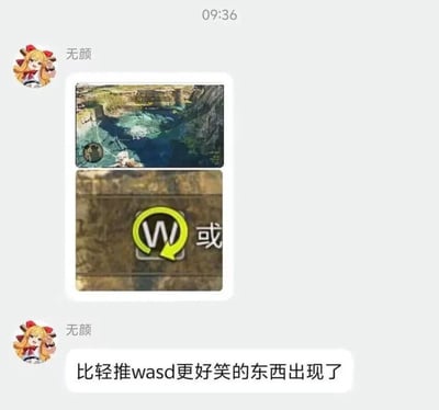 社交媒体聊天界面截图，用户"无颜"发送了两张游戏相关图片。第一张是游戏场景截图，显示角色站在水边；第二张是游戏控制提示，显示"W或"。下方评论"比轻推wasd更好笑的东西出现了"暗示这是在调侃游戏控制方式。