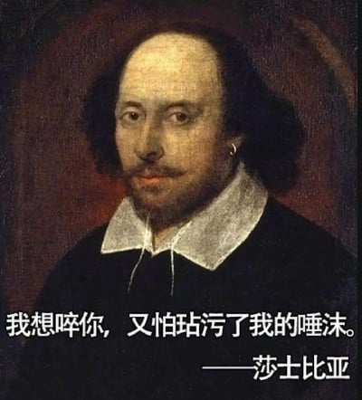 这是一张用于情绪宣泄的恶搞表情包，主体采用了英国著名剧作家威廉·莎士比亚的经典传世肖像画，画中的莎士比亚身着复古的深色服饰，搭配白色立领，面容平静沉稳，眼神直视前方，神态庄重。在肖像的下方配有假借莎士比亚名义的吐槽文字：“我想啐你，又怕玷污了我的唾沫。——莎士比亚”，用极具讽刺和嫌弃的语气，借文学巨匠的名头放大了对他人的鄙夷感，通过严肃的经典肖像与接地气的搞笑吐槽形成强烈反差，让情绪表达更具戏谑感和力度，适合在日常社交场景中表达对某人或某事的强烈不满与不屑。