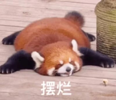 这是一张文字加注的静态图，主体是一只小熊猫，它四肢摊开平趴在木质地板上，双眼紧闭，神态放松慵懒，看起来毫无活力。图片下方配有白色的中文文字“摆烂”，用小熊猫的状态来对应“摆烂”这个网络热词，将动物的慵懒姿态和当下流行的躺平心态结合，表达出一种不想努力、躺平放弃的消极又略带调侃的情绪，常被用作表情包来抒发自己不想做事、只想躺平的心情。
