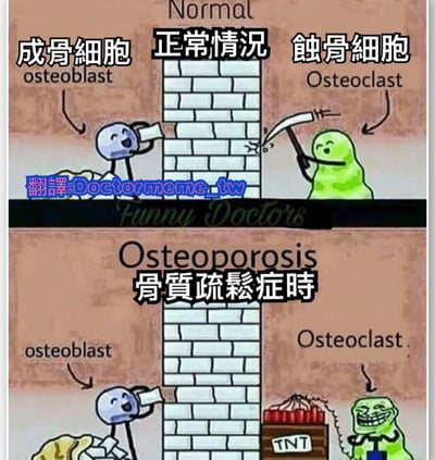该图为上下两 panel 的对比漫画，用砖墙比喻骨骼密度。上半部分“正常情况”中，蓝色成骨细胞正开心地用工具砌砖墙，绿色蚀骨细胞则拿着小镰刀少量拆砖，墙体完整；下半部分“骨质疏松症时”，成骨细胞仍在正常砌墙，而蚀骨细胞却笑着点燃TNT炸药炸毁墙体，夸张表现骨质疏松时骨吸收大于骨形成的病理状态。