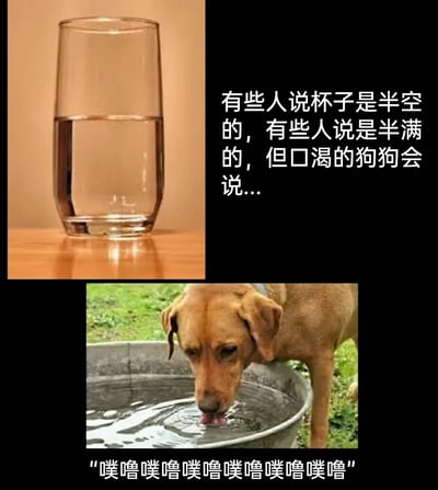 这是一张由上下两部分拼接而成的趣味梗图，上半部分展示了一只放置在木质桌面上的透明玻璃杯，杯中装有一半容量的清水，旁边配有文字引出经典的视角讨论：“有些人说杯子是半空的，有些人说是半满的，但口渴的狗狗会说...”；下半部分则是一只浅棕色的狗狗，正低头专注地舔食大铁盆里的水，舌头搅动水面形成波纹，下方用拟声词“噗噜噗噜噗噜噗噜噗噜噗噜”模拟狗狗喝水的声音。这张图以幽默的方式打破了关于“半空还是半满”的抽象概念讨论，从狗狗务实的角度出发，用可爱的拟声和真实的场景制造出轻松搞笑的效果，消解了严肃的哲学式思考，传递出一种关注当下需求的趣味态度。