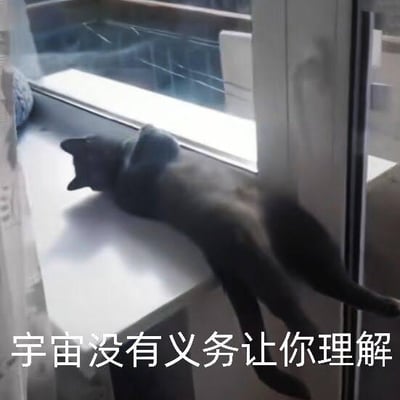 一只黑猫正慵懒地躺在窗台上，身体舒展，头部靠近窗户玻璃望向窗外，姿态放松。图片底部配有白色文字“宇宙没有义务让你理解”，猫咪的悠闲与文字的哲学意味形成幽默反差，仿佛猫咪在以超然姿态看待世间困惑。