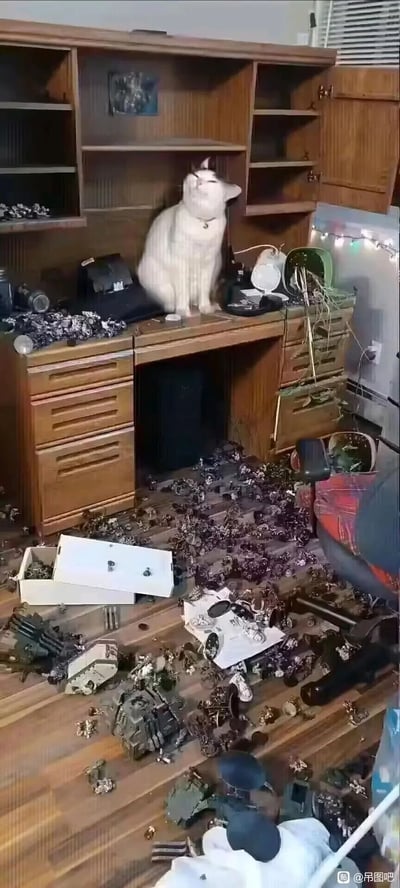 这是一张原始实拍的宠物日常照片，画面中一只白棕相间的猫咪端坐在木质书桌的台面上，它神态悠闲，一脸无所谓的样子。书桌前的地面、桌面散落着大量的战棋类模型（疑似战锤40k系列桌游模型），模型收纳盒被打翻，书桌的抽屉也有被弄开的痕迹，整个场景一片狼藉，显然是这只猫咪的“杰作”，生动展现了猫咪调皮捣蛋、搞破坏后满不在乎的日常状态。