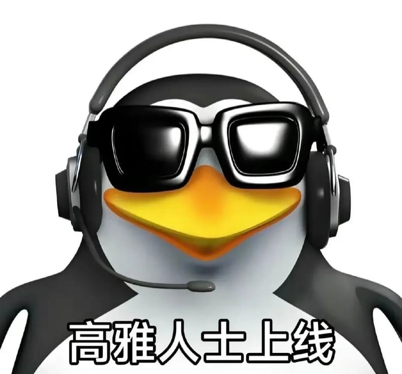 高雅人士上线