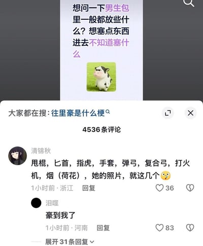 这是一张社交媒体评论区截图，上方是用户提问“想问一下男生包里一般都放些什么？想塞点东西进去不知道塞什么”，搭配一张皱眉生气的Q版奶牛表情包；下方评论区中，用户“清锦秋”回复列举了甩棍、匕首、指虎、弹弓、复合弓、打火机、荷花烟、对象照片等物品，另一位用户“泪噬”回复“豪到我了”，页面还显示有“大家都在搜：往里豪是什么梗”的提示。该内容玩了《我的世界》的相关梗，将游戏里玩家外出时常备的镐子、弓、武器、食物等装备替换为现实版本的对应物品，形成搞笑反差，同时结合“豪”的谐音制造笑点。