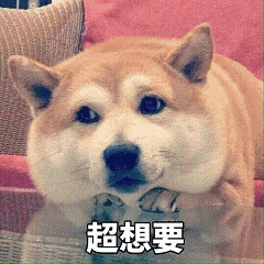 柴犬超想要表情包